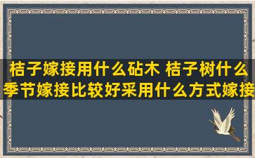 桔子嫁接用什么砧木 桔子树什么季节嫁接比较好采用什么方式嫁接成活率比较高